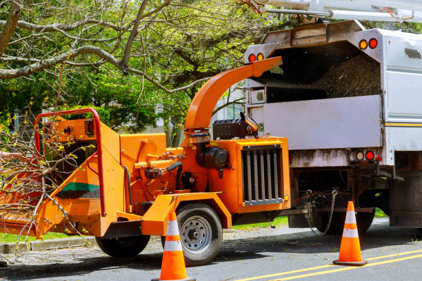 Leaf Removal in Mayfield Heights, OH